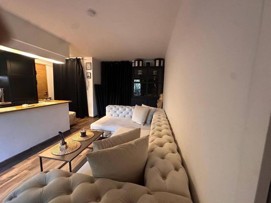 Jardin Des Plantes Parking Securise Terrasse Et Ascenseur Apartment ตูลูส ภายนอก รูปภาพ